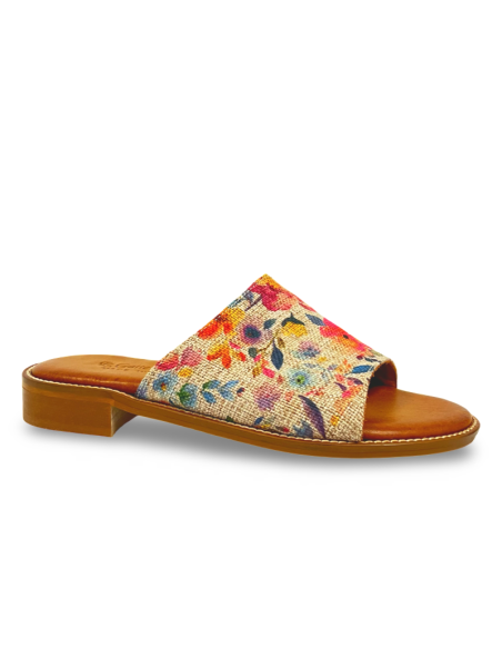 Ciabattina Clelia multicolor