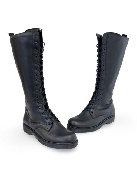 Anfibio venere in pelle nera