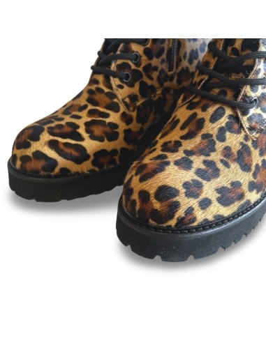 Anfibio Paola cavallino Leo