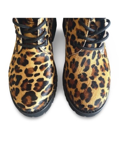 Anfibio Paola cavallino Leo